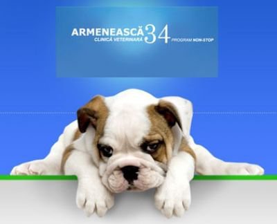 Armeneasca Clinica Veterinara