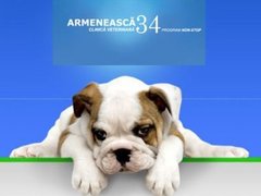Armeneasca Clinica Veterinara